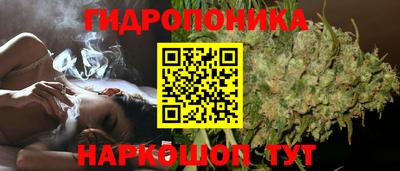 ECSTASY Кунгур