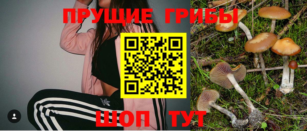 Псилоцибиновые грибы ЛСД  Вход с VPN  Галлюциногенные грибы мухоморы  Камень-на-Оби 